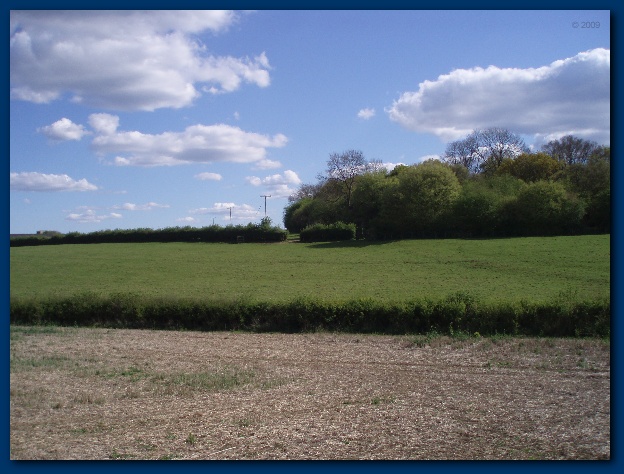 600x449 pixels (126K)